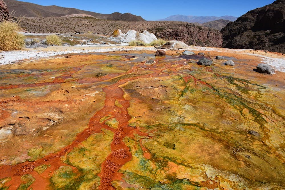 Tour Quebrada de las Papas y Termas de los Hornos